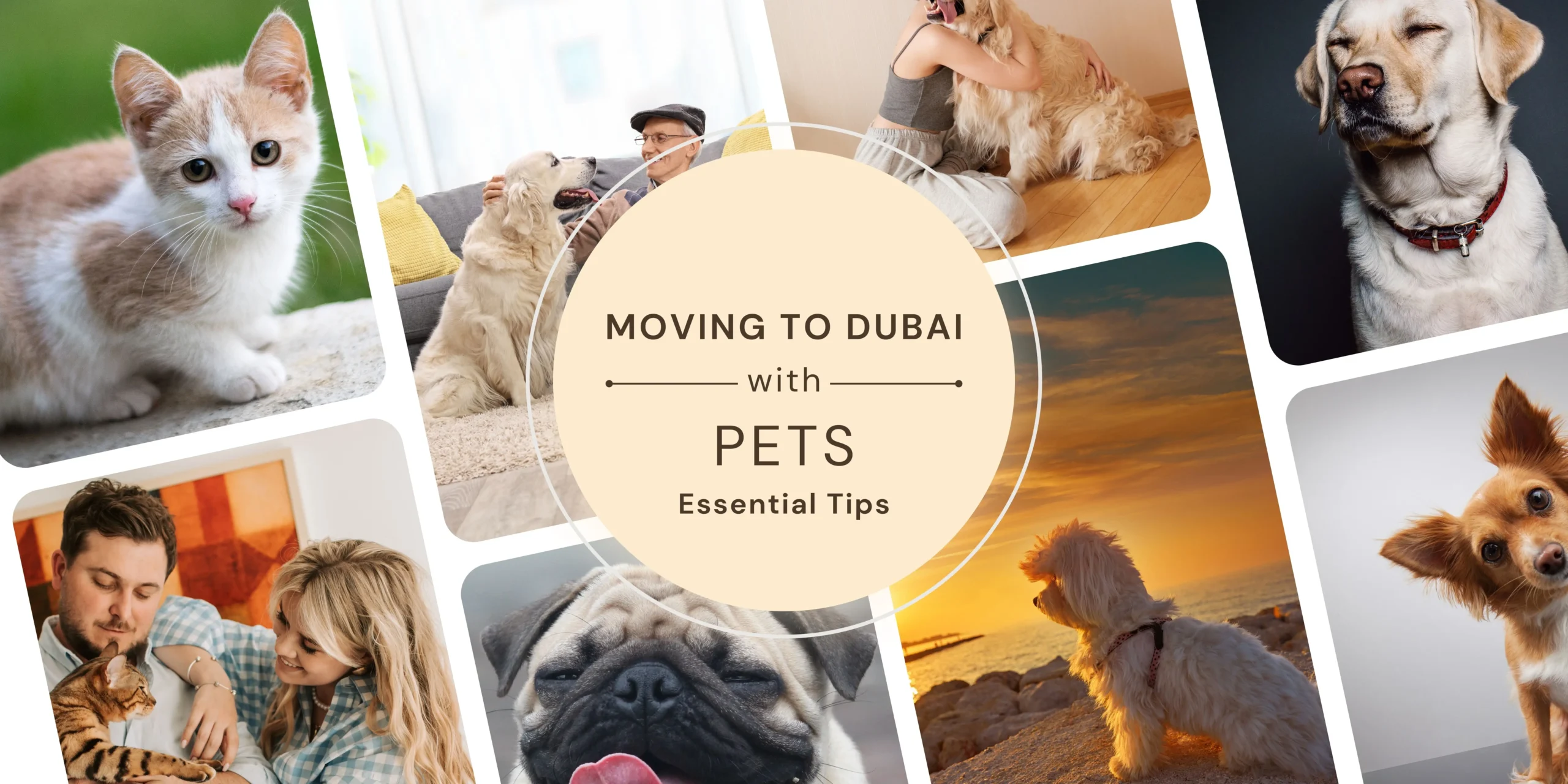 Moving to Dubai with Pets: The Essential Tips