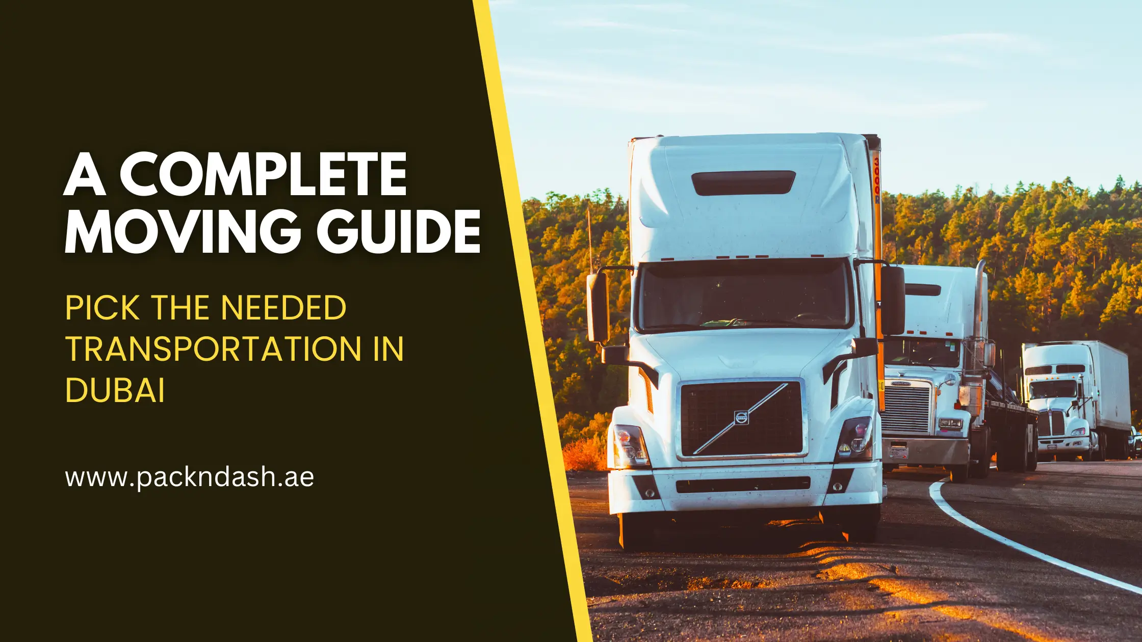 Pick the Needed Transportation in Dubai: A Complete Moving Guide