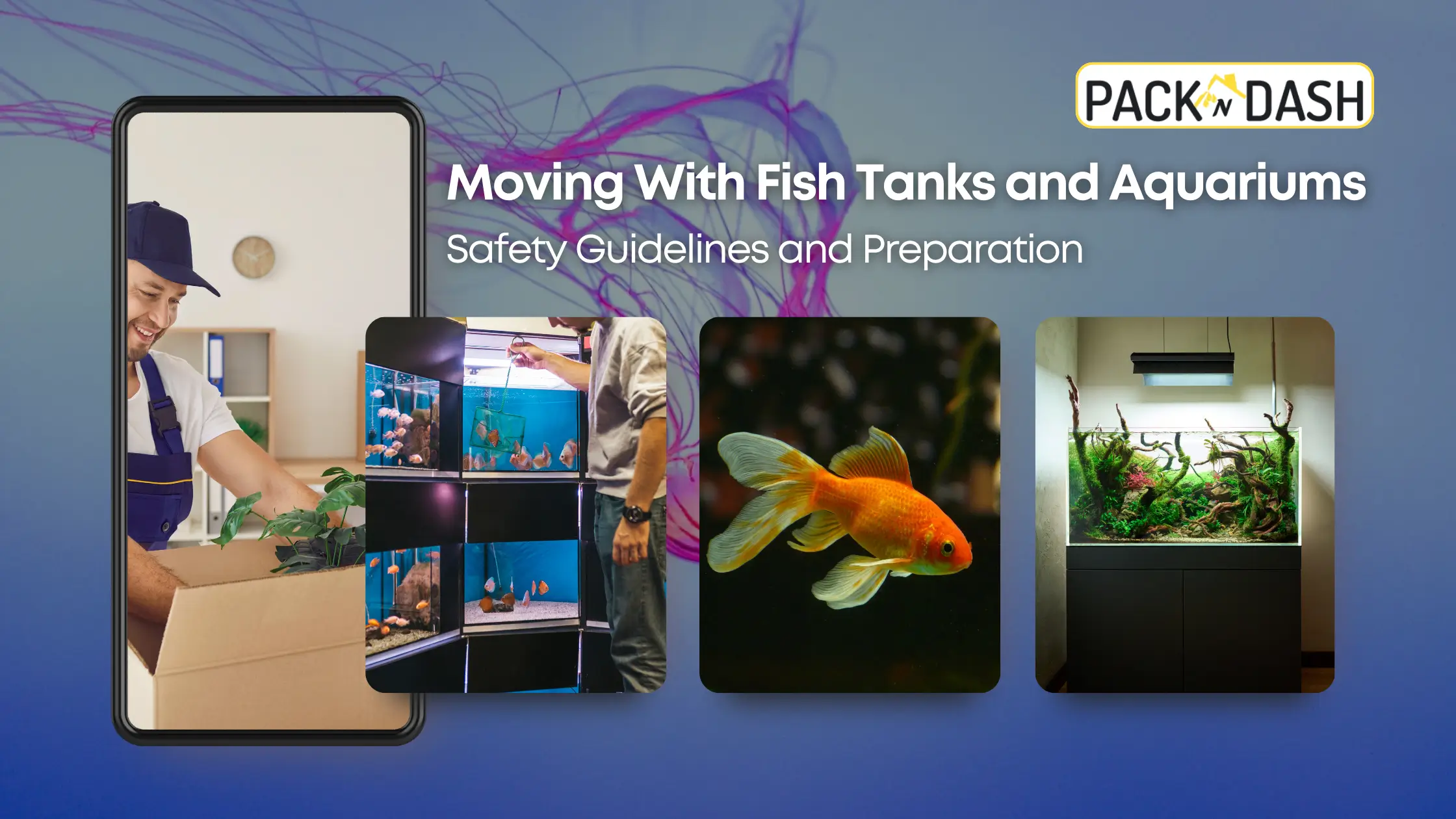 Moving With Fish Tanks and Aquariums: Safety Guidelines and Preparation