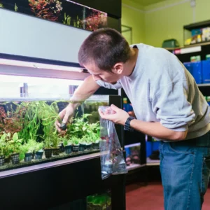 Aquarium Moving