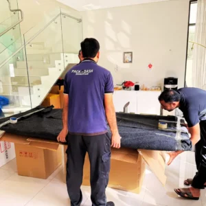 Best movers in Dubai